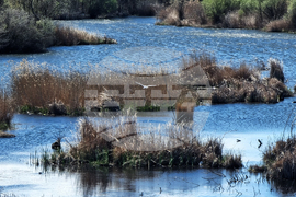 Кърджали - акция по почистване
