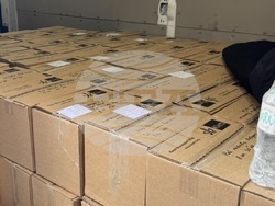 Снимка: Пресофис на Росица Кирова 