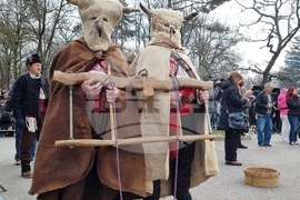 Ямбол - Международен маскараден фестивал „Кукерландия 2026” - дефиле на маскарадните групи