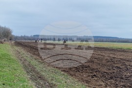 Шумен - конни състезания - Тодоровден