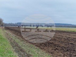 Шумен - конни състезания - Тодоровден