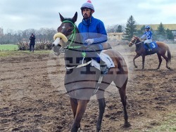 Шумен - конни състезания - Тодоровден