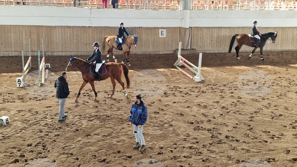 Шумен - конни състезания - Тодоровден