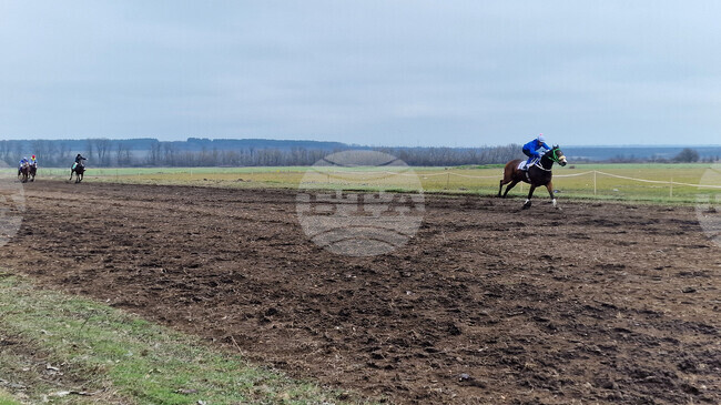 Конни състезания по гладко надбягвне и прескачане на препятствия се състояха в Шумен на Тодоровден