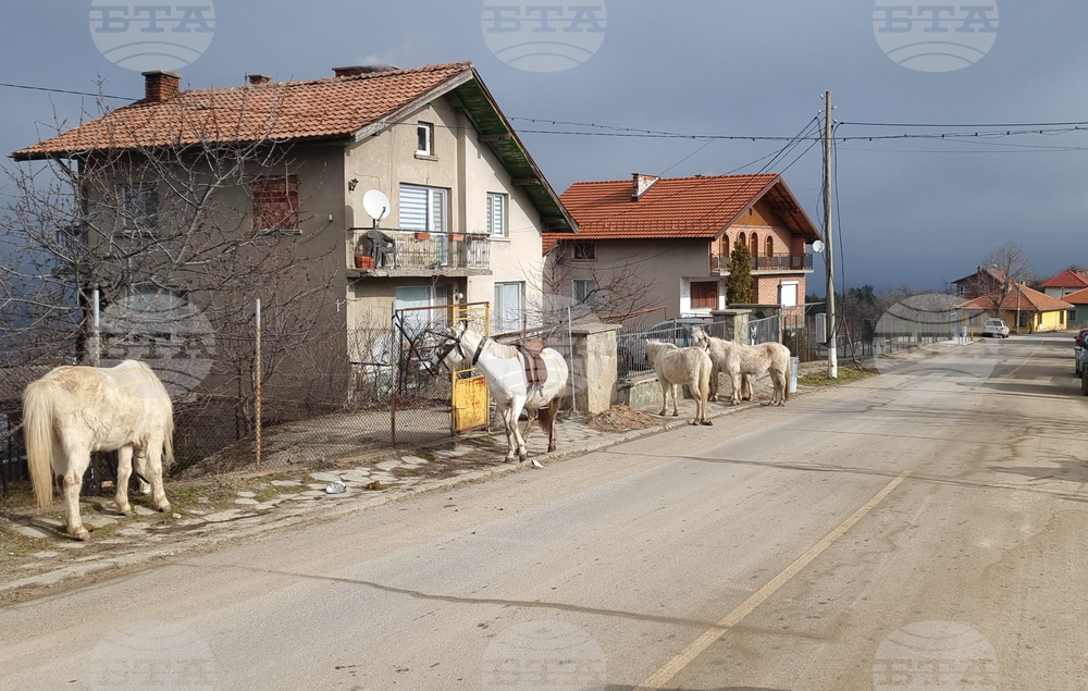 Село Богослов - конни надбягвания - Тодоровден