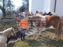 Село Богослов - конни надбягвания - Тодоровден