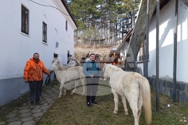 Село Богослов - конни надбягвания - Тодоровден