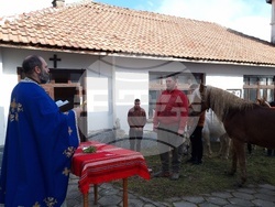 Село Богослов - конни надбягвания - Тодоровден