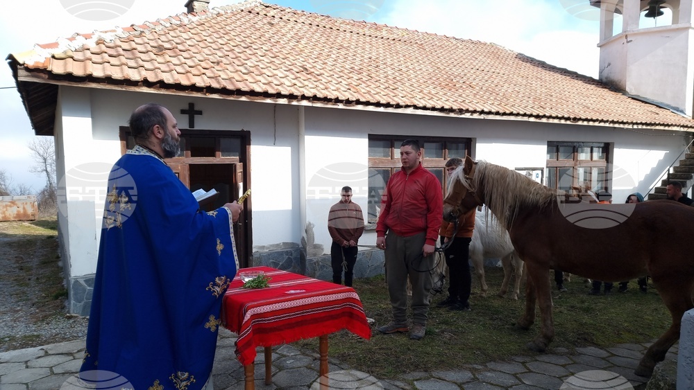 Село Богослов - конни надбягвания - Тодоровден