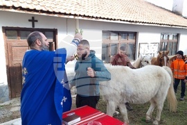 Село Богослов - конни надбягвания - Тодоровден