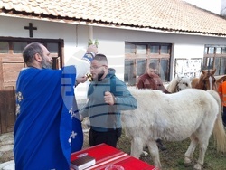 Село Богослов - конни надбягвания - Тодоровден