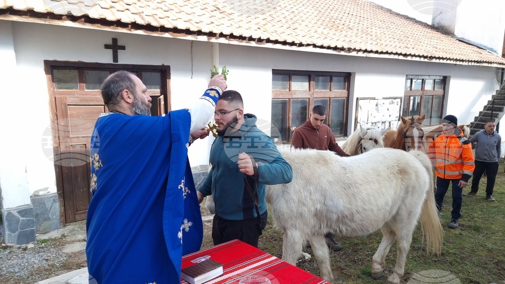 Село Богослов - конни надбягвания - Тодоровден