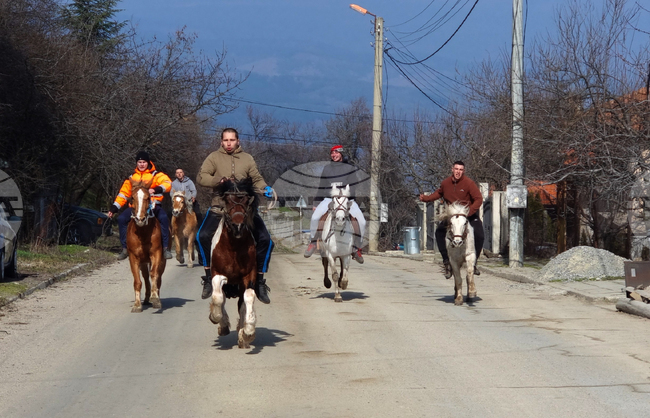 Село Богослов - конни надбягвания - Тодоровден