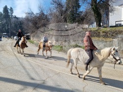 Село Богослов - конни надбягвания - Тодоровден