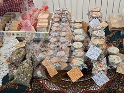 Плевен - фестивал „Здравей, здраве“