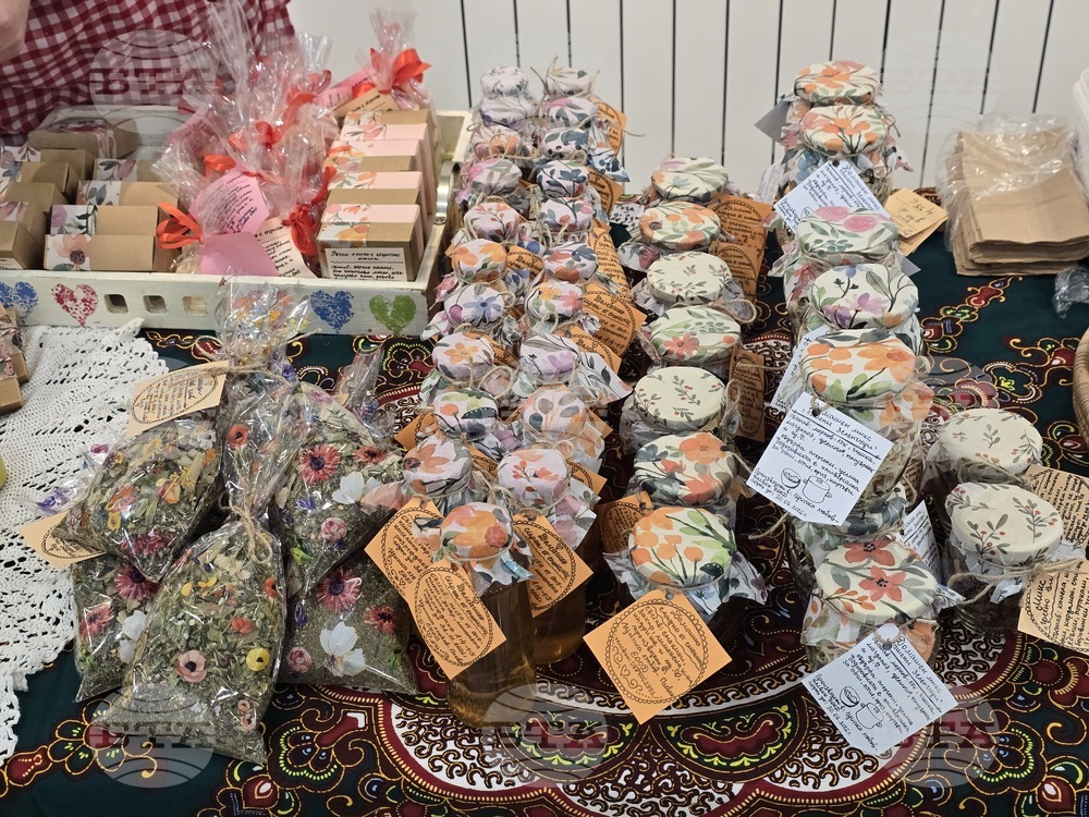 Плевен - фестивал „Здравей, здраве“