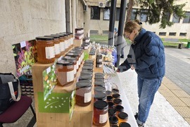 Плевен - фестивал „Здравей, здраве“