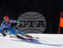 Germany World Cup Alpine Skiing
