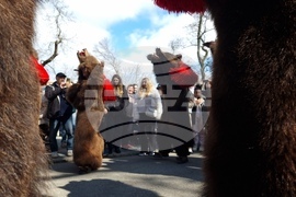 Ямбол - Международен маскараден фестивал „Кукерландия 2026” - дефиле на маскарадните групи