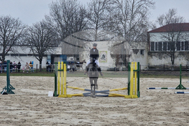 Стара Загора - Тодоровден - конни състезания