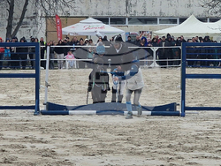 Стара Загора - Тодоровден - конни състезания