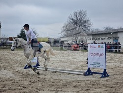 Стара Загора - Тодоровден - конни състезания