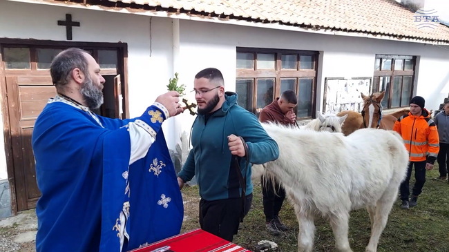 Любослав Дебърлийски с кон Тихея спечели кушията в с. Богослов, община Кюстендил