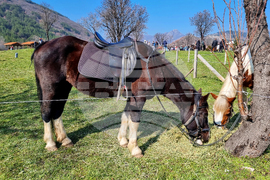 Сливен - Тодоровден - празник