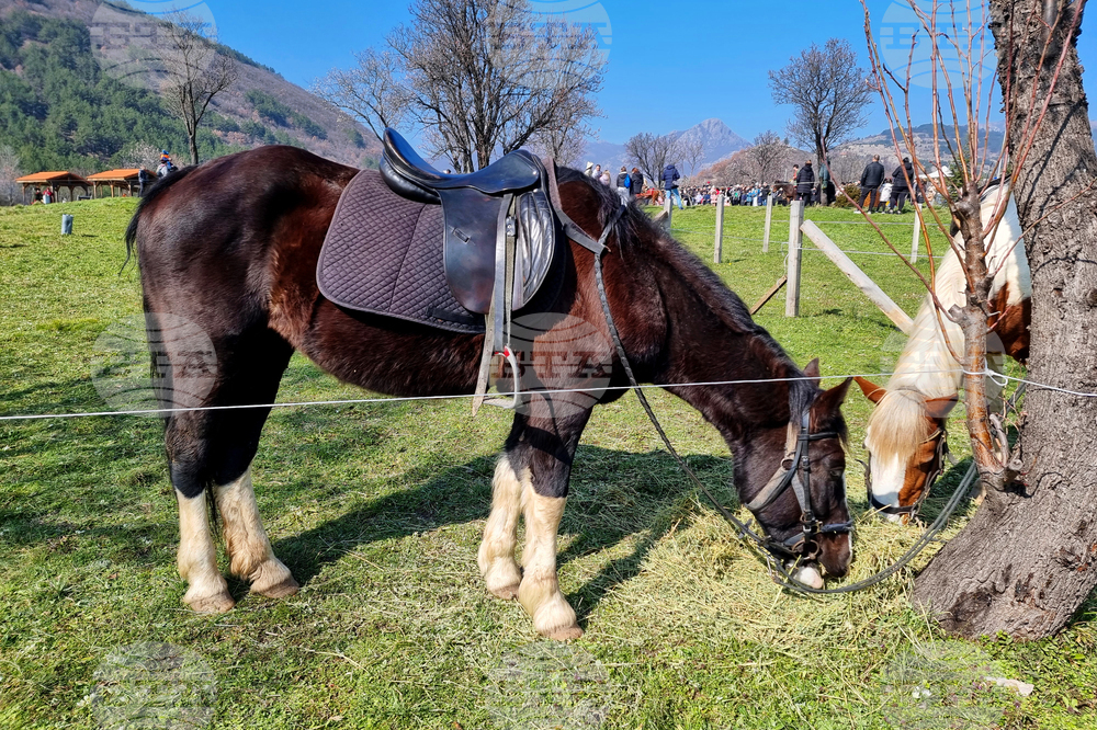 Сливен - Тодоровден - празник