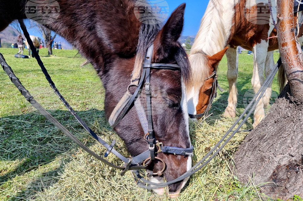 Сливен - Тодоровден - празник