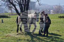 Сливен - Тодоровден - празник