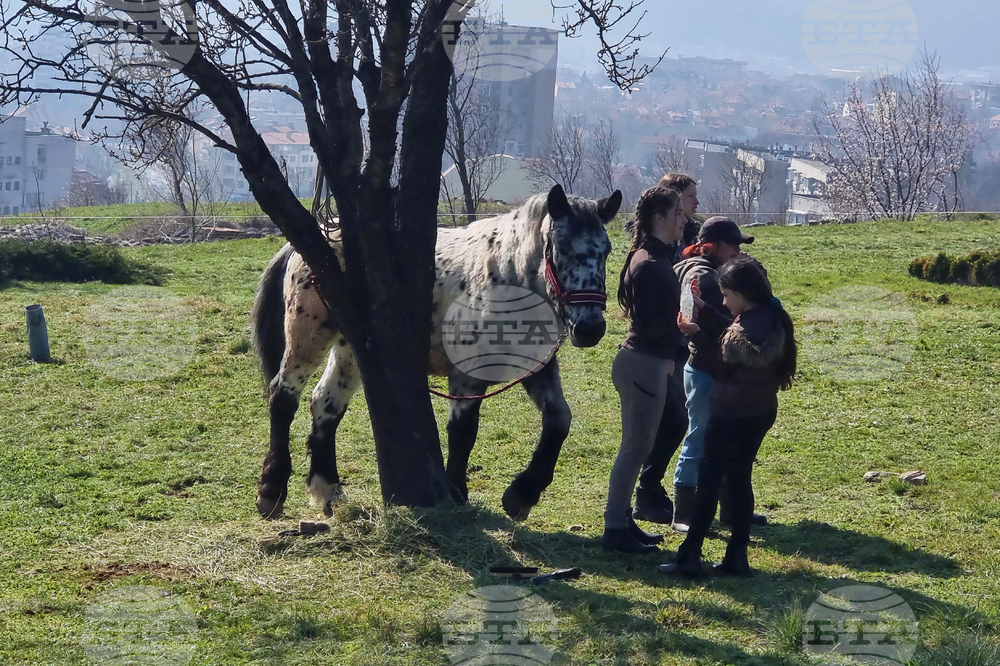 Сливен - Тодоровден - празник