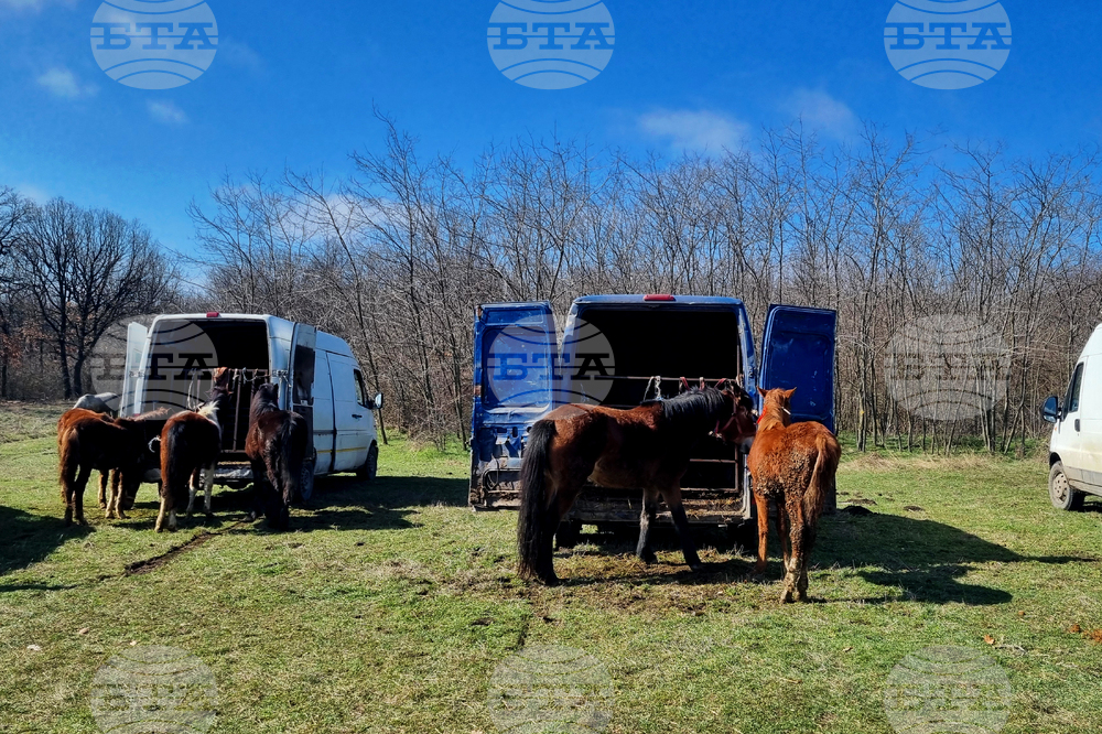 Село Макариополско - Тодоровден - обичай