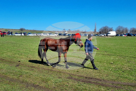 Село Макариополско - Тодоровден - обичай
