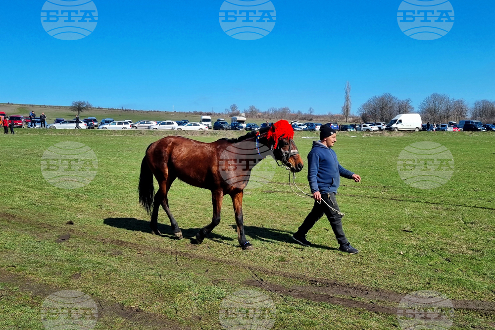 Село Макариополско - Тодоровден - обичай