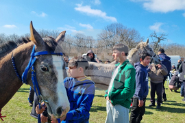 Село Макариополско - Тодоровден - обичай