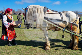 Село Макариополско - Тодоровден - обичай