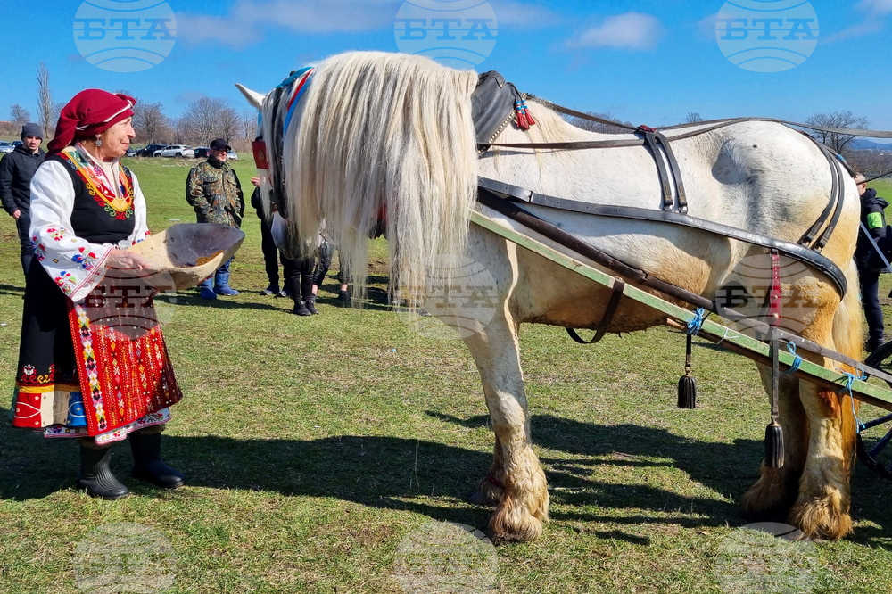 Село Макариополско - Тодоровден - обичай