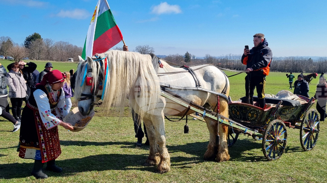 С традиционни кушии, захранване на кон и конкурс за най-дълга коса премина Тодоровден в търговищкото село Макариополско