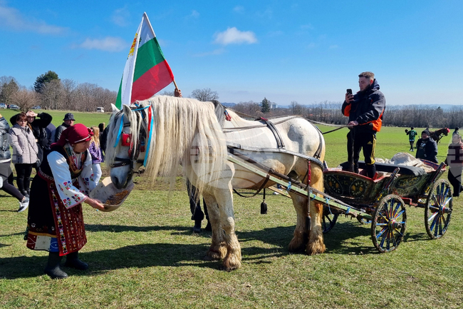 С традиционни кушии, захранване на кон и конкурс за най-дълга коса премина Тодоровден в търговищкото село Макариополско