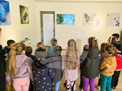 Снимка: Общински културен институт (музей) – гр. Бяла, обл. Варна