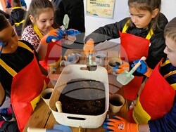 Снимка: Общински културен институт (музей) – гр. Бяла, обл. Варна