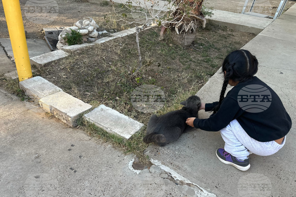 Immigration Detaining Children