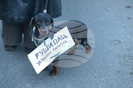 Сърбия - протест в защита на автентичността на градски парк 