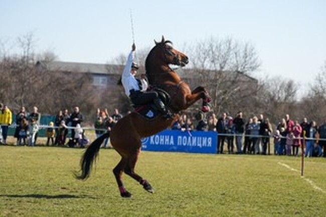 МВР: Със състезания по майсторска езда конният ескадрон на СДВР отбеляза Тодоровден и 70-годишния си юбилей