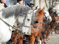 Снимка: МВР