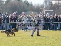 Снимка: МВР