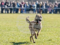 Снимка: МВР