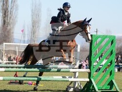 Снимка: МВР