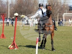 Снимка: МВР